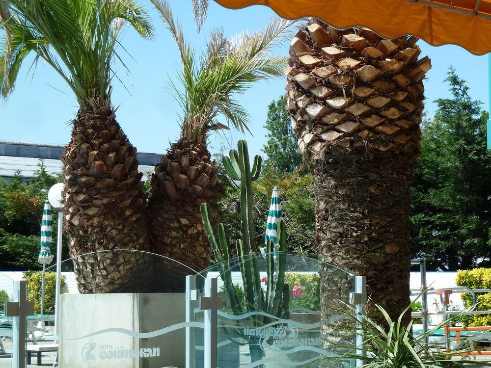 Hotel Cormoran Riccione Eksteriør bilde